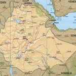 Ethio to Djibouti Railway Line Progresses